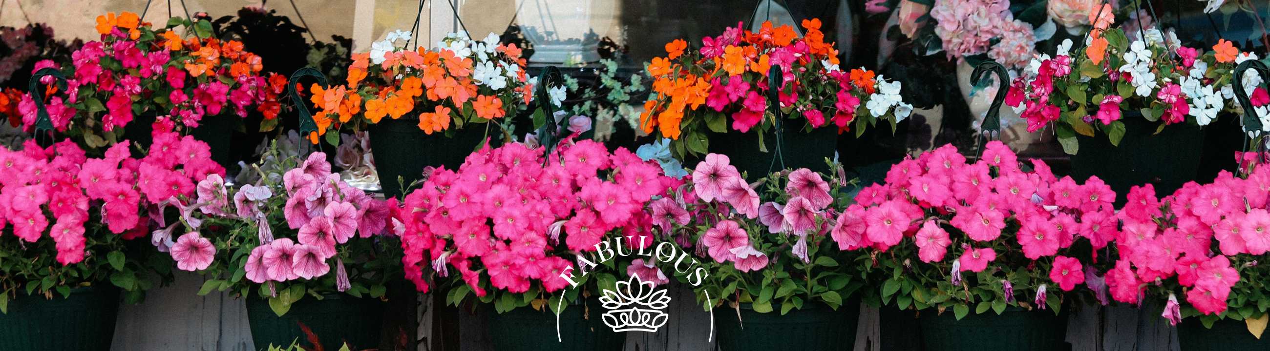 Colorful hanging baskets of flowers in full bloom, beautifully arranged by Fabulous Flowers and Gifts.