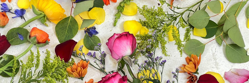 Your One-Stop Shop for Flower & Gift Inspiration Tagged flowers