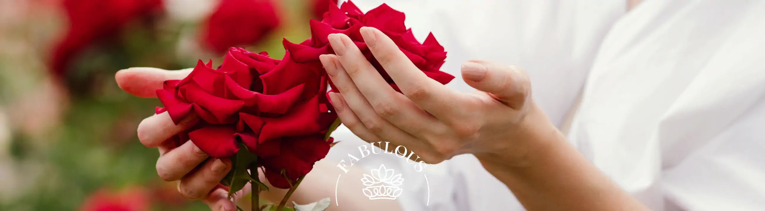 Hands gently holding vibrant red roses in a garden - Fabulous Flowers & Gifts.
