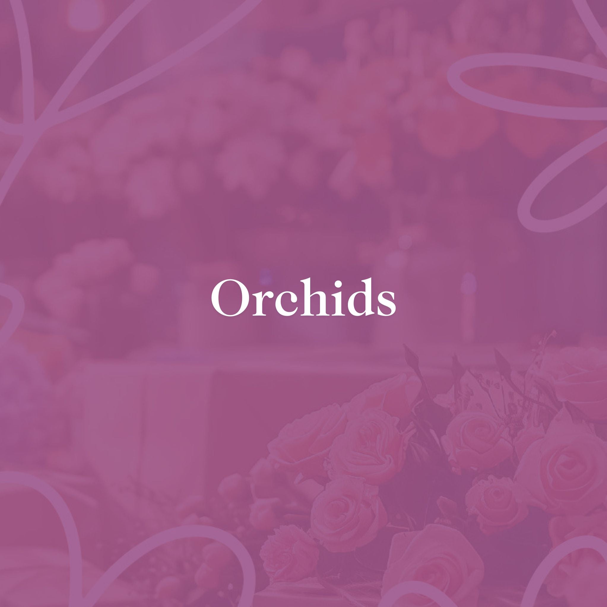 Purple background with the title 'Orchids' in white text, representing the Fabulous Flowers & Gifts orchids collection.