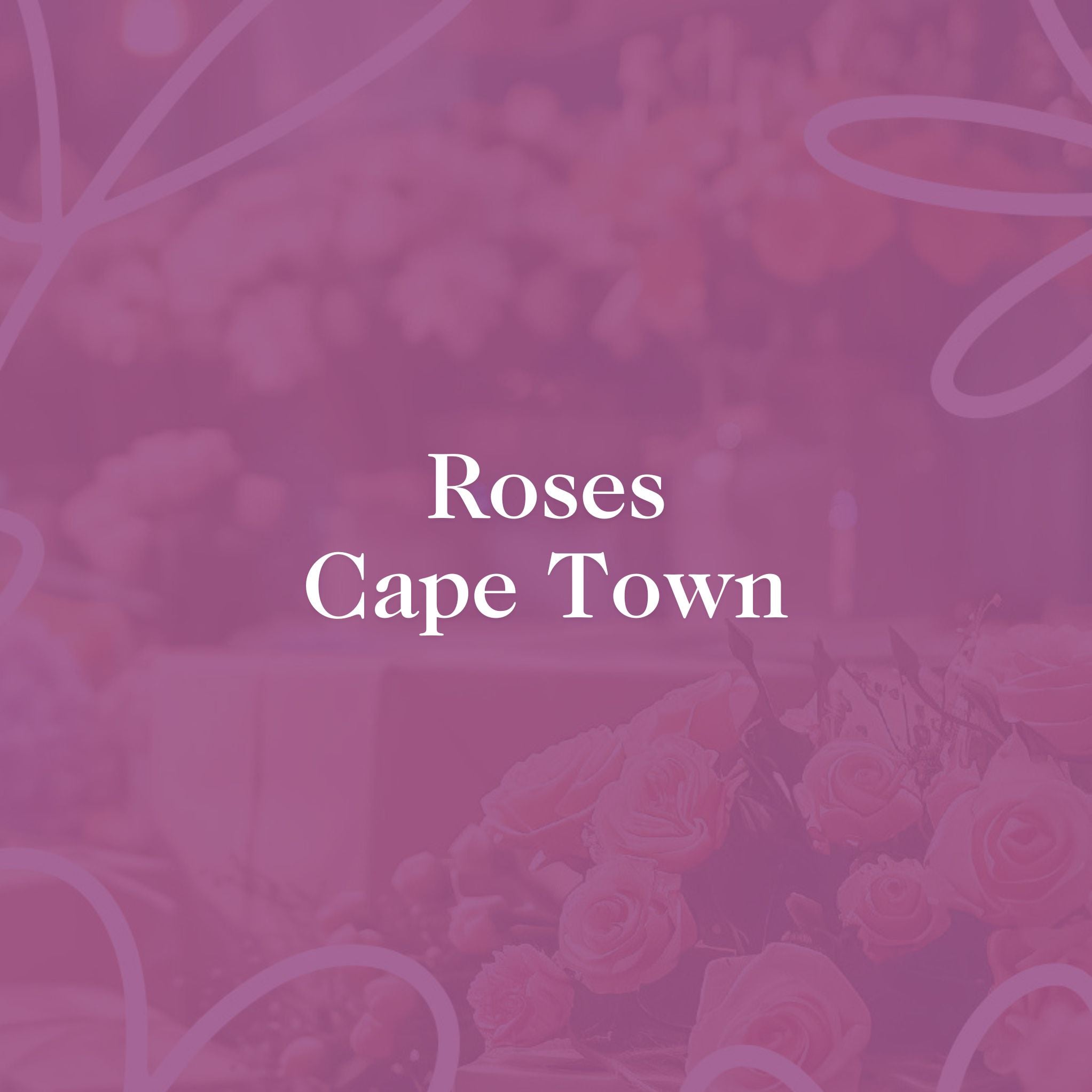 Elegant background with soft focus pink roses, text 'Roses Cape Town' in white for Fabulous Flowers & Gifts.