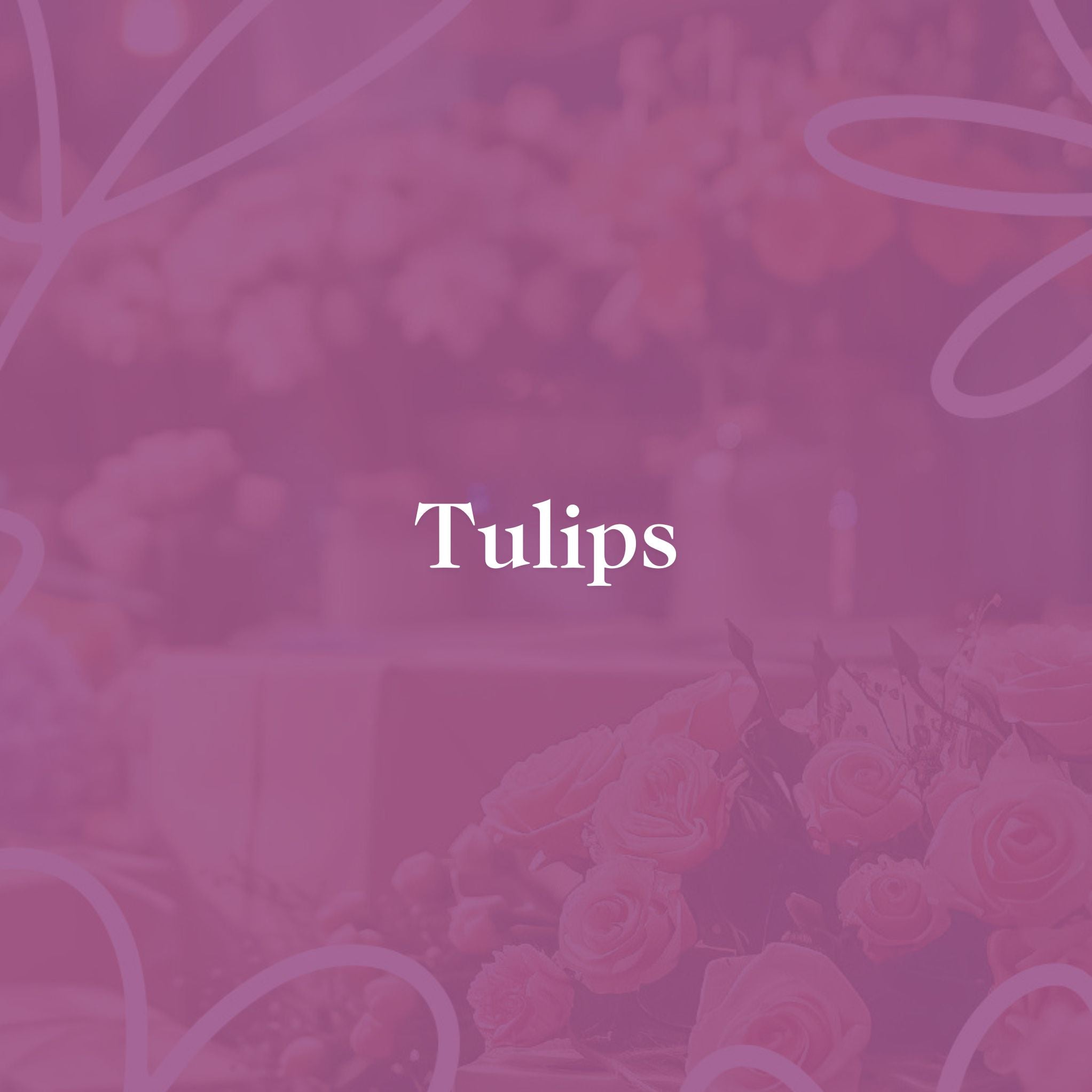 Tulips text overlay on a pink floral background, showcasing the Tulip collection by Fabulous Flowers & Gifts.