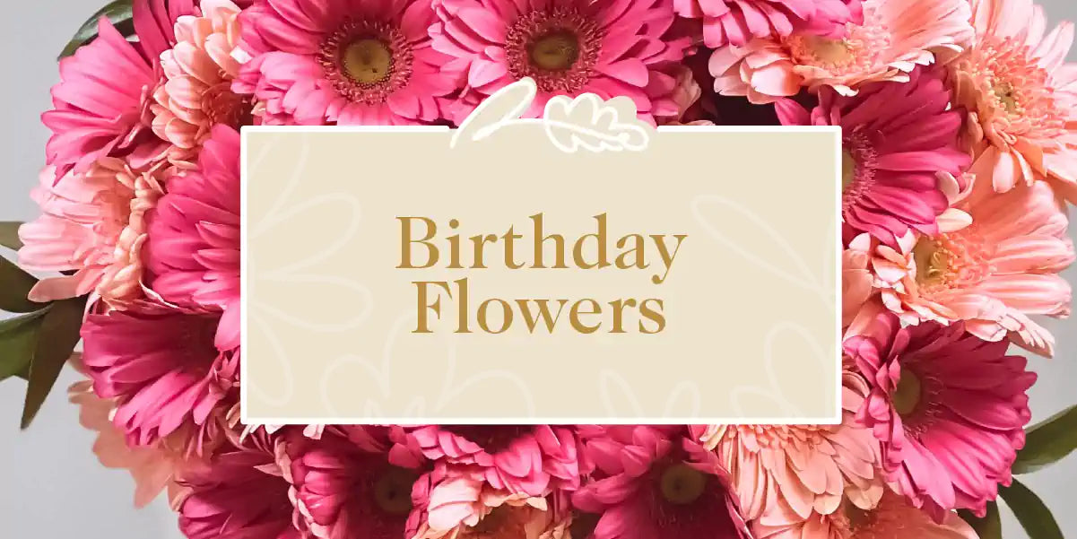 Birthday Flowers: Vibrant Pink Gerbera Daisies Arranged Beautifully to Celebrate Birthdays. Perfect for Gifting. Fabulous Flowers and Gifts.
