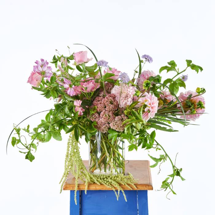 Bloom Blush flower arrangement: Soft pink blooms with trailing greenery in a clear vase.