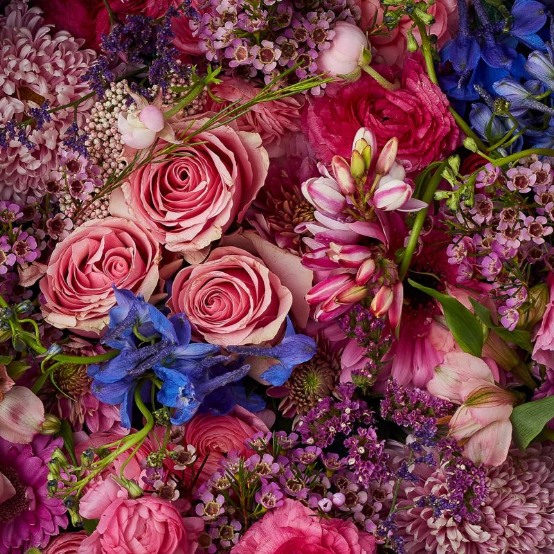 Close-up of fresh pink and purple flowers, including roses, delphiniums, and chrysanthemums, arranged beautifully in a round flower box.