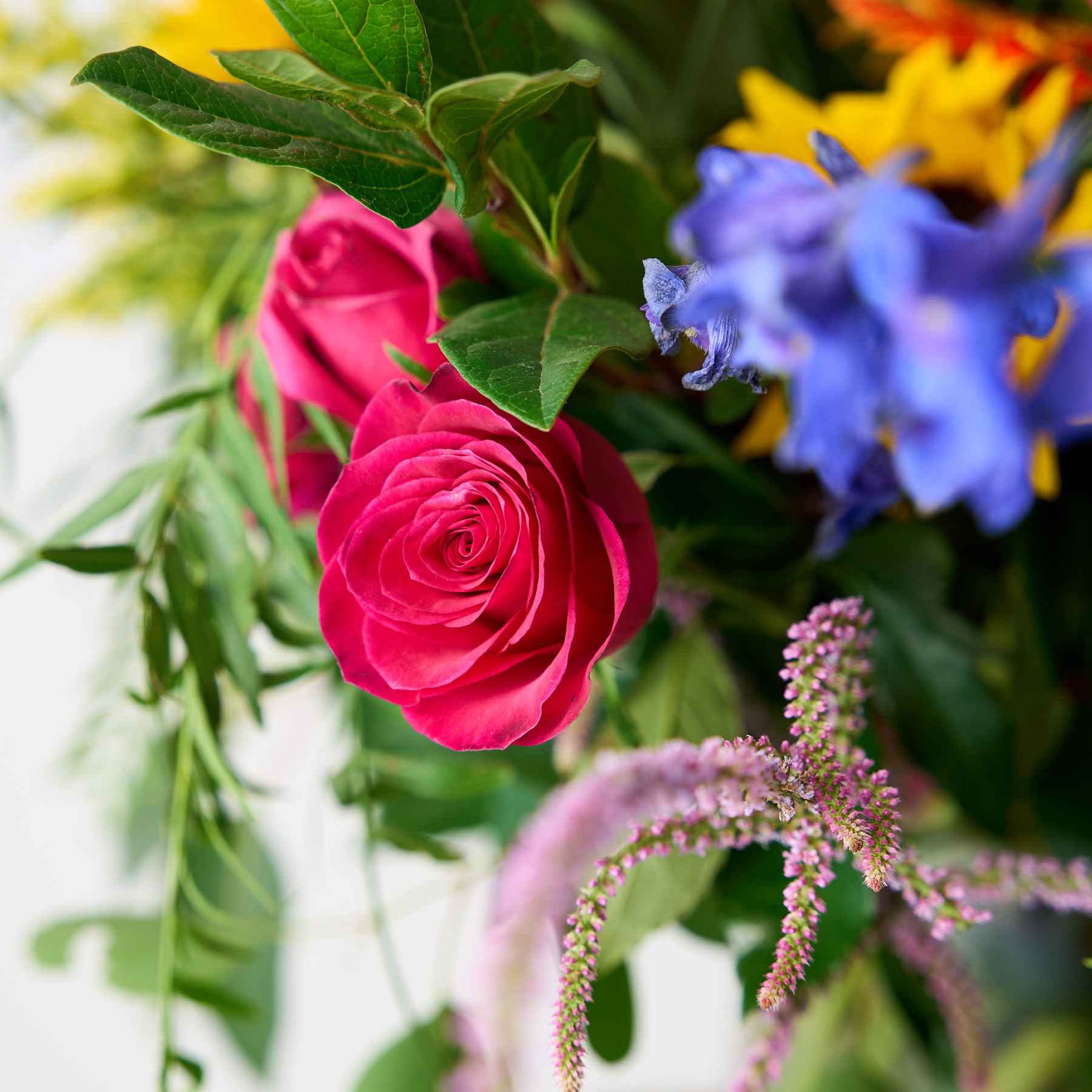 Close-up of a bright pink rose within a colourful flower arrangement, surrounded by lush green leaves and other vibrant blooms.