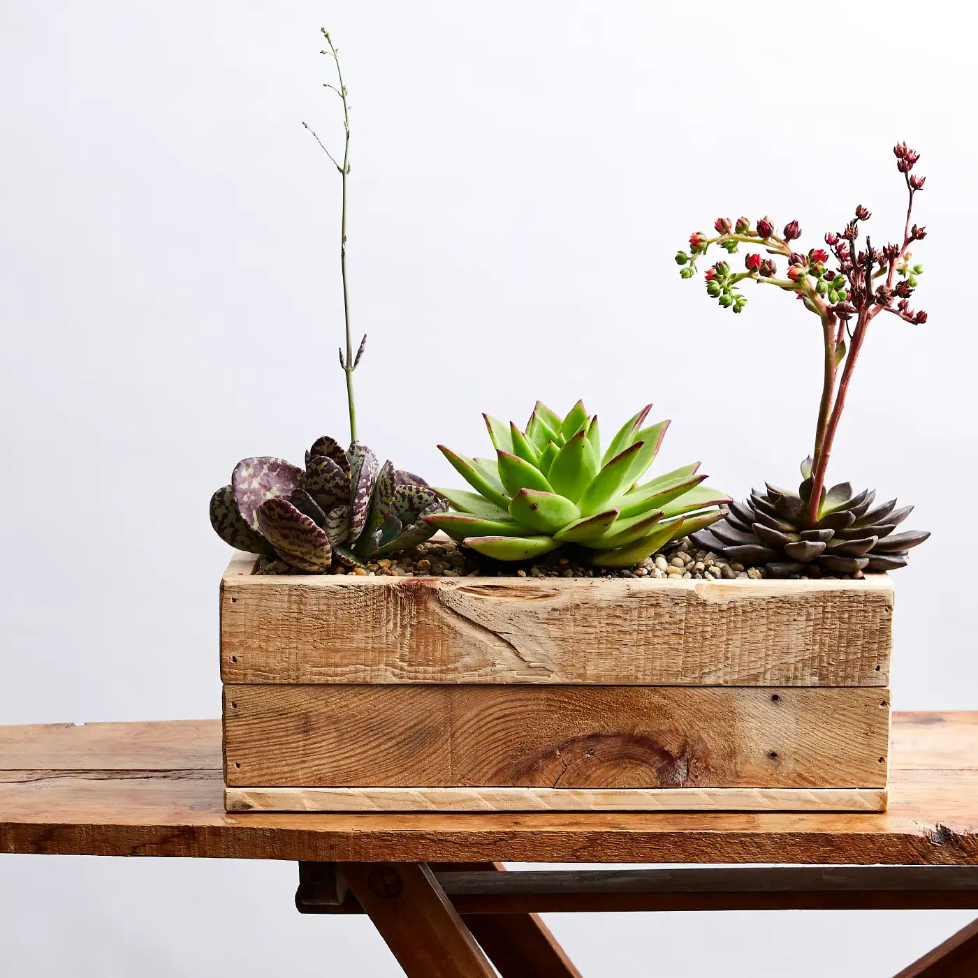 A rustic wooden planter box displaying a variety of succulents, including green echeveria and flowering crassula, set on a wooden table. Business Gifting. Fabulous Flowers and Gifts.