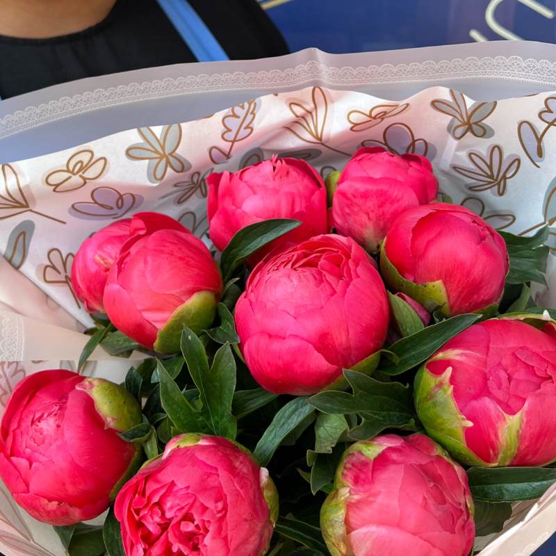 Close-up of a beautiful Coral Sunset Peony bouquet featuring 10 bright pink peony stems wrapped in decorative paper.