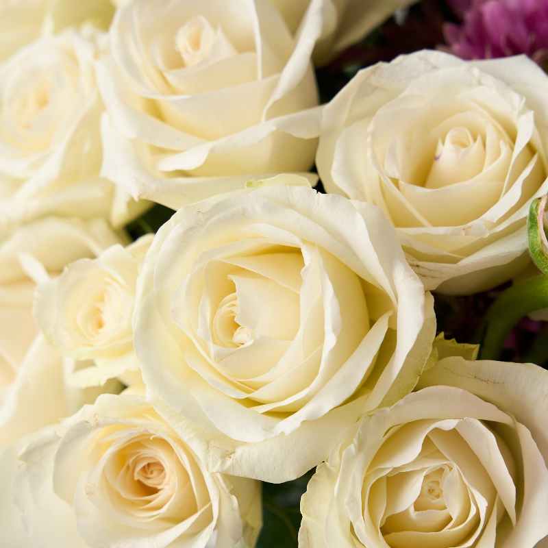 Close-up view of white roses in the Creative Poetry Flower Arrangement.