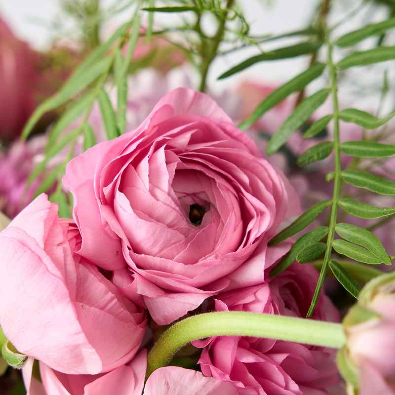 Close-up view of pink ranunculus flower in the Creative Poetry Flower Arrangement.