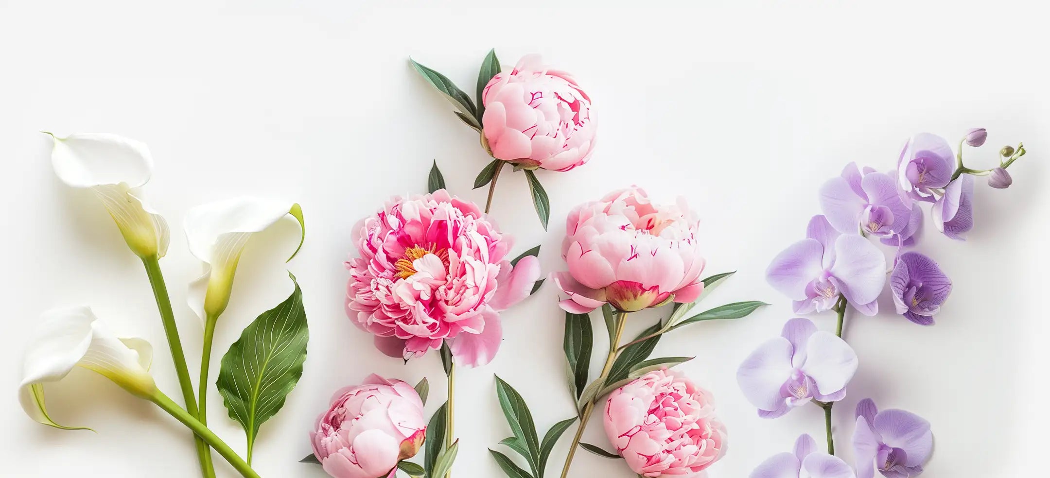 Welcome to the Fabulous Flowers Club banner featuring lush pink peonies and delicate purple orchids, promoting luxury imported blooms delivered to your door. Fabulous Flowers and Gifts.