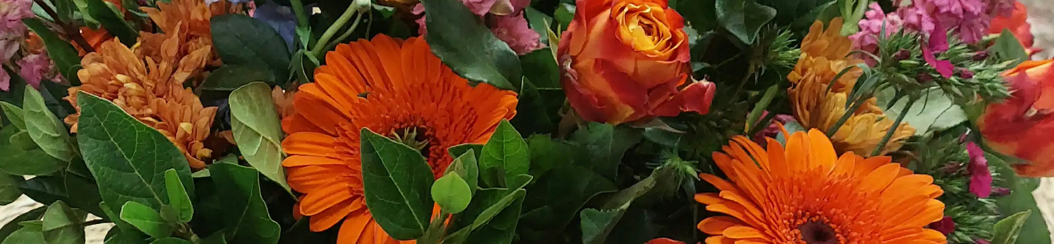 Close-up of vibrant orange and pink flowers with lush green leaves, captioned 'The Experience of Transformation.' Enhance your space with Fabulous Flowers and Gifts. Flower Installations.