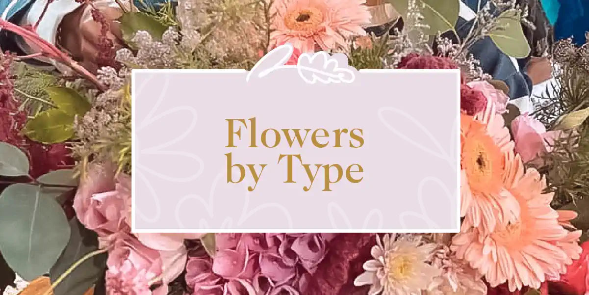 A stunning bouquet featuring a variety of flowers such as gerberas, roses, and hydrangeas, highlighting their unique beauty. Fabulous Flowers and Gifts - Flowers by Type