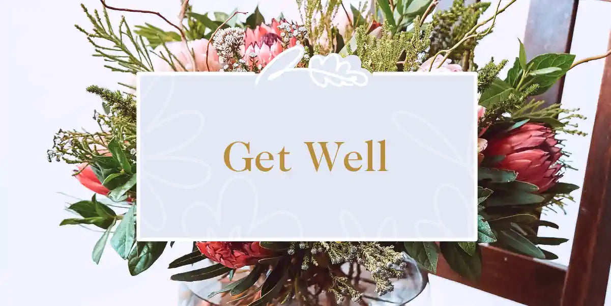 Protea vase arrangement on a chair made by Fabulous Flowers and Gifts for the Get Well Collection. 