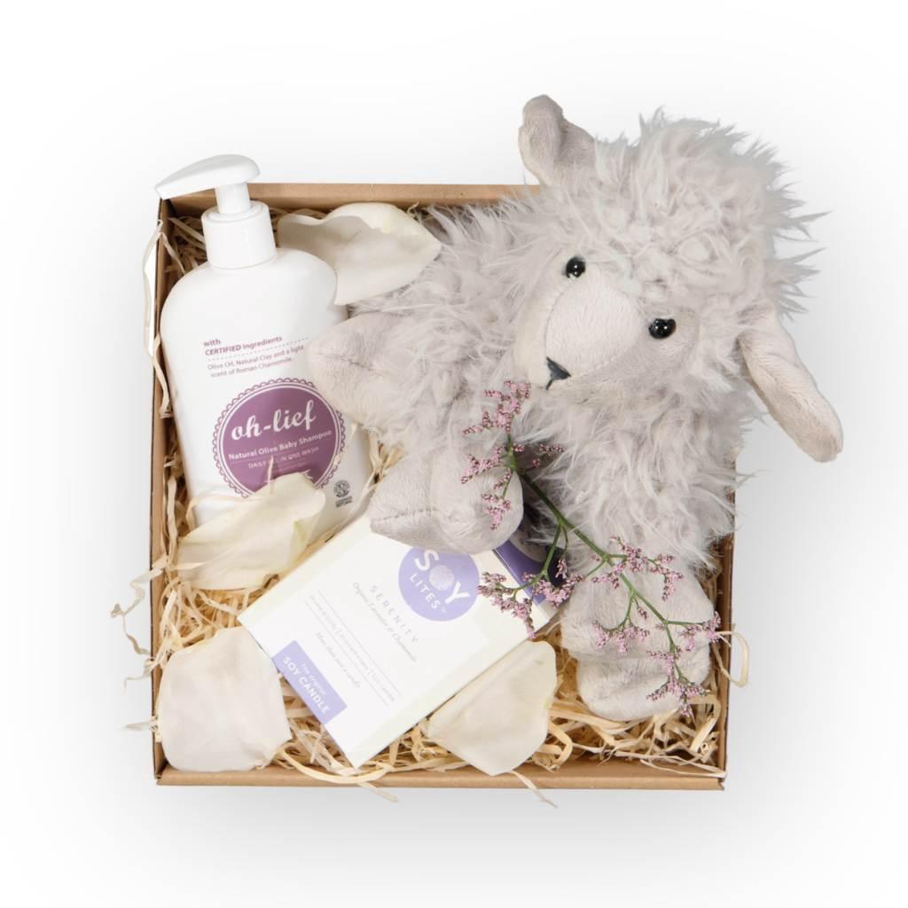 Healing Light Gift Set