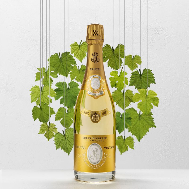 Louis Roederer Cristal Champagne bottle with its iconic golden label, elegantly displayed against a backdrop of green vine leaves.