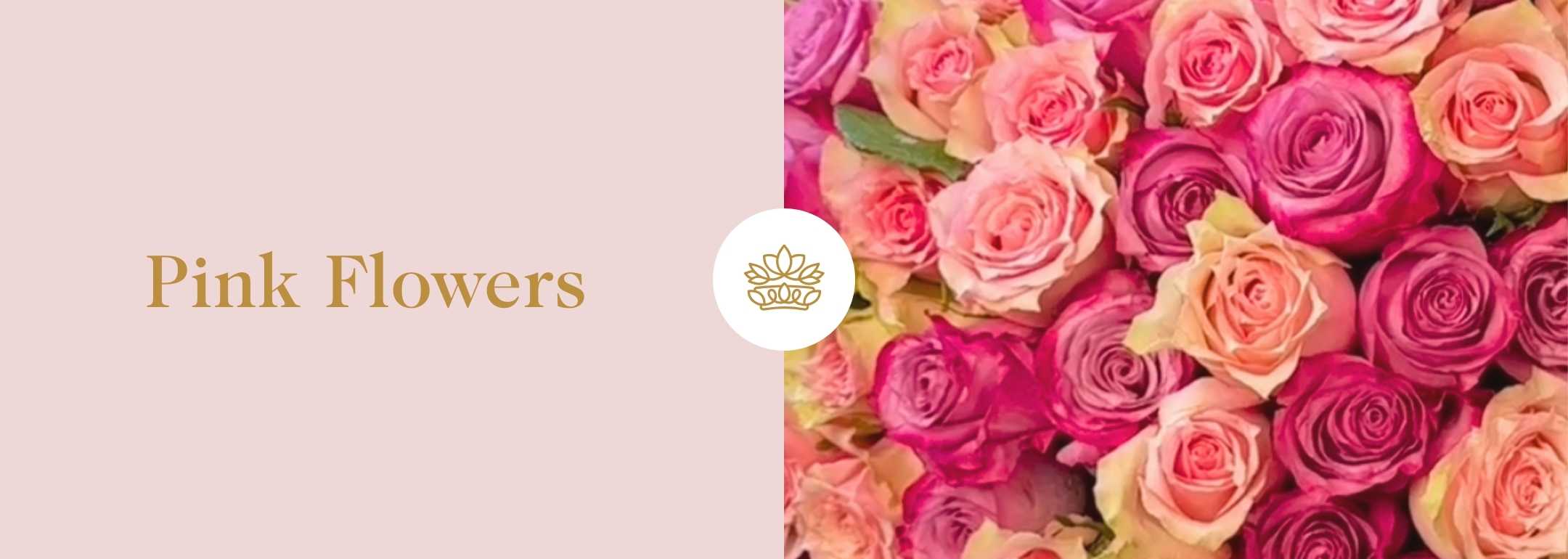 Promotional banner for 'Pink Flowers' featuring a vibrant array of pink roses, from pale blush to deep magenta, with elegant gold text and a floral logo on a soft peach background.