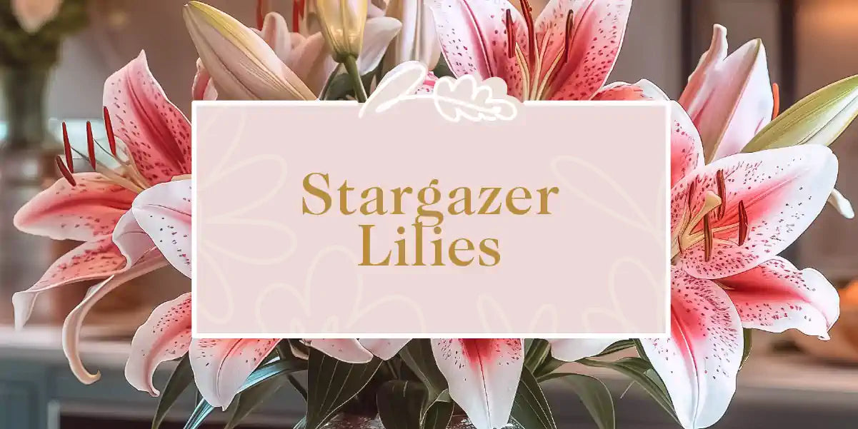 A stunning arrangement of pink and white stargazer lilies. Fabulous Flowers and Gifts - Stargazer Lilies