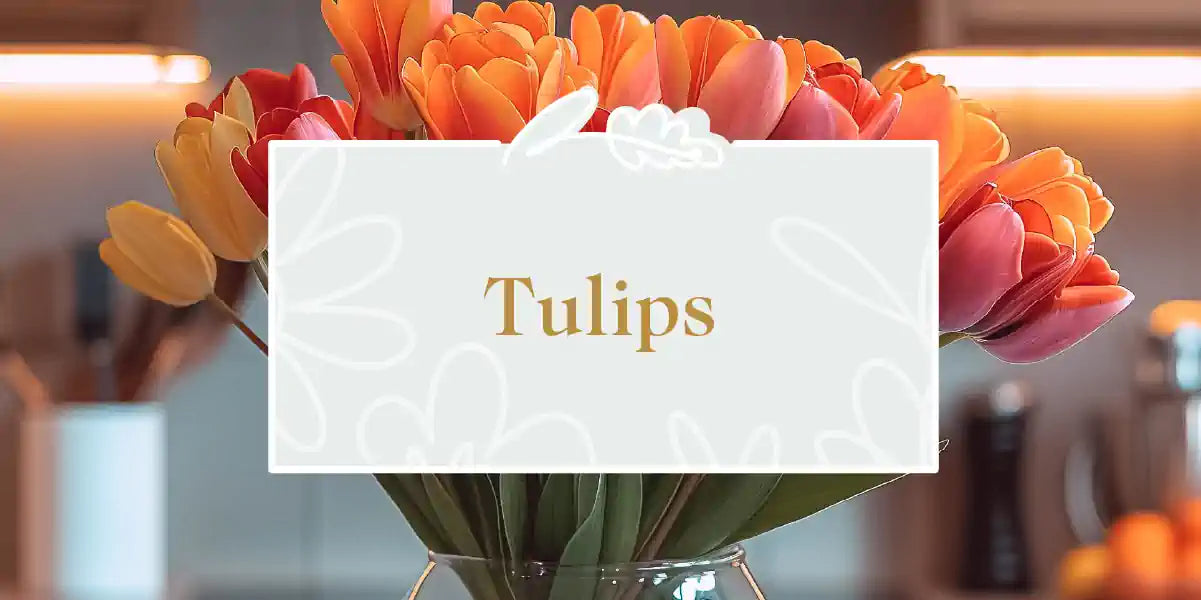 A vibrant bouquet of mixed tulips in a clear glass vase. Fabulous Flowers and Gifts - Tulips